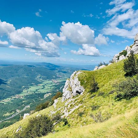 Samson And The Lilo Apartment Vipava Bagian luar foto