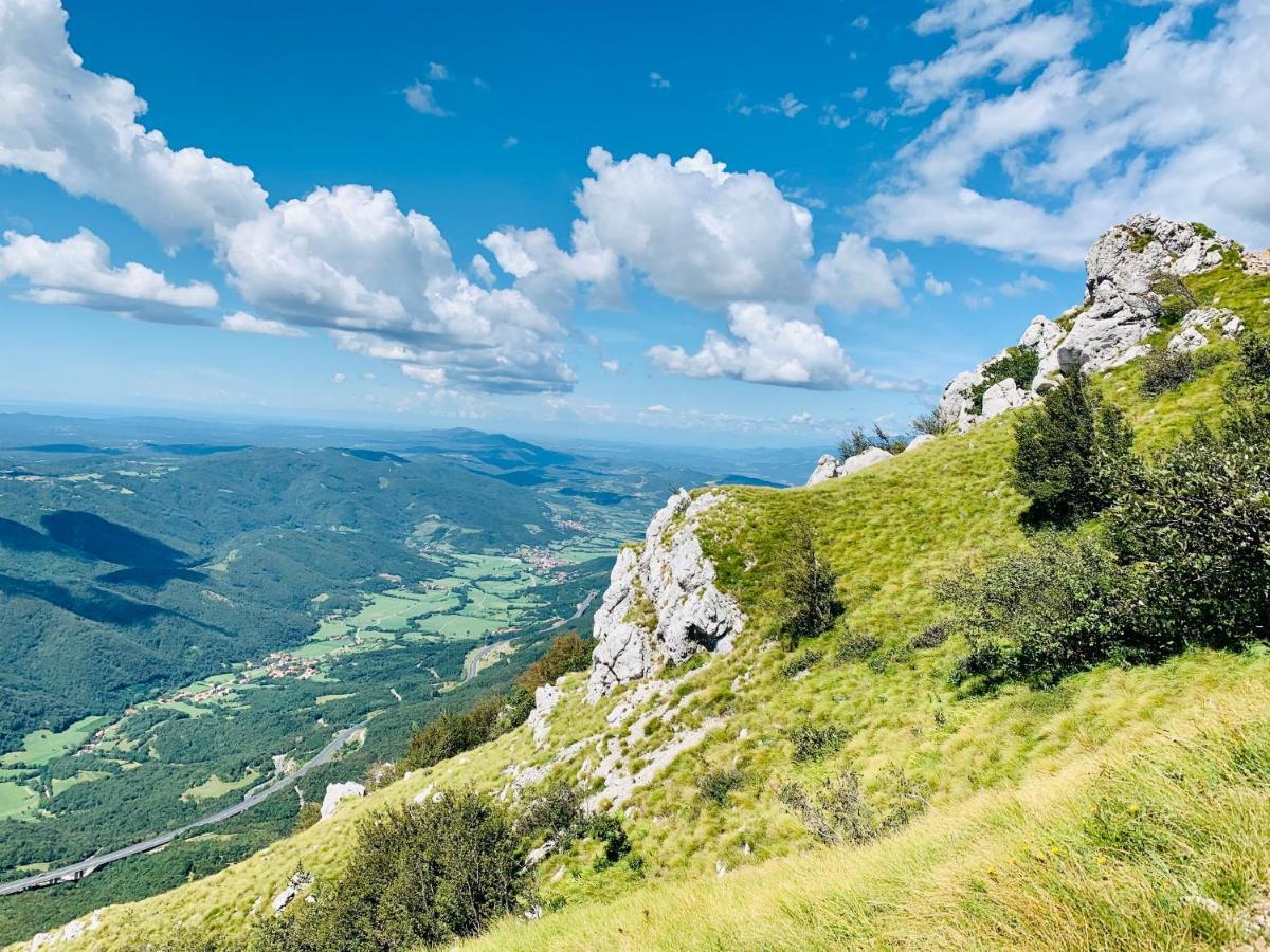 Samson And The Lilo Apartment Vipava Bagian luar foto