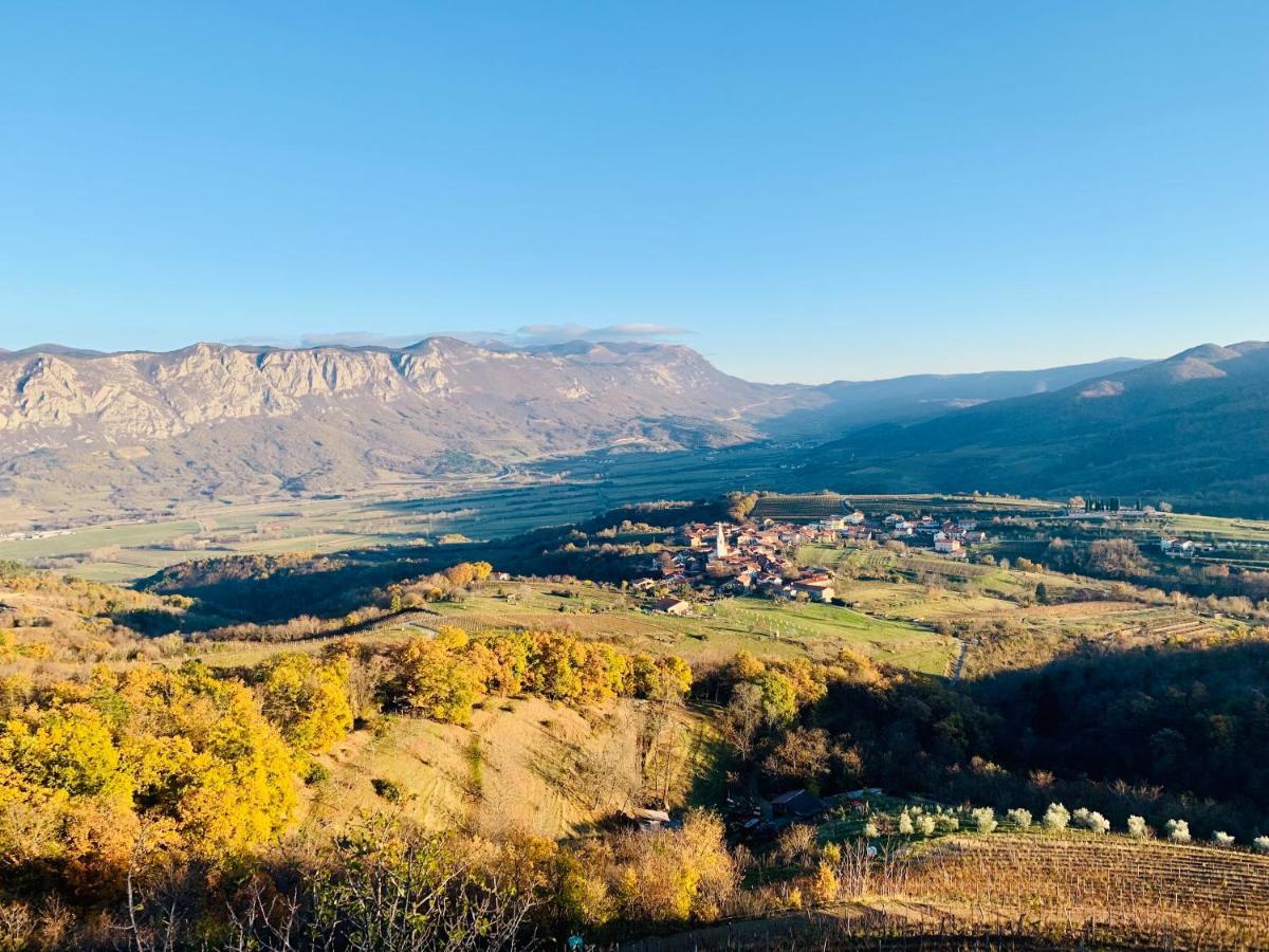 Samson And The Lilo Apartment Vipava Bagian luar foto